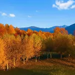 Il Castagno