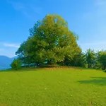 Il Castagno Вилла