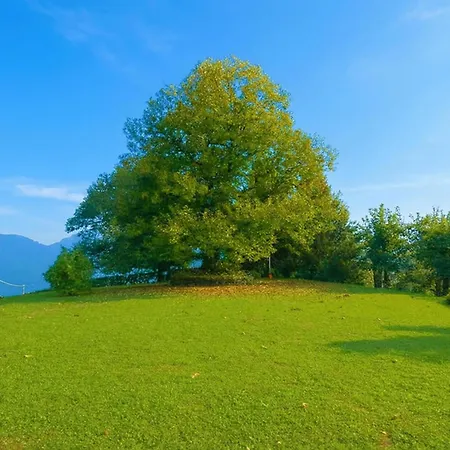 Il Castagno Villa