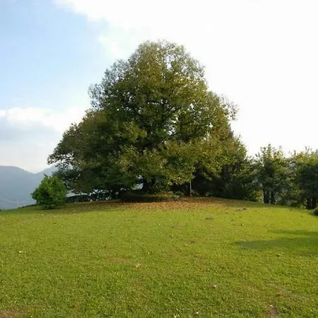 Il Castagno Casasco Intelvi