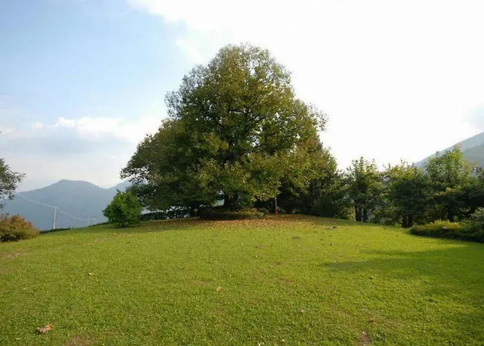 Il Castagno Casasco Intelvi