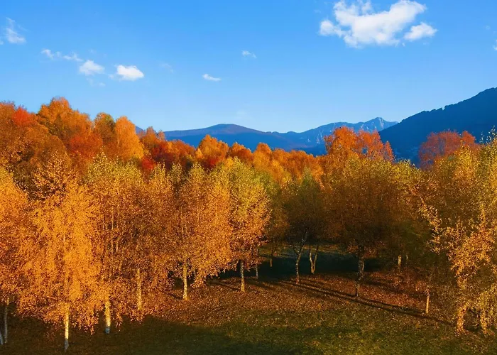 Il Castagno