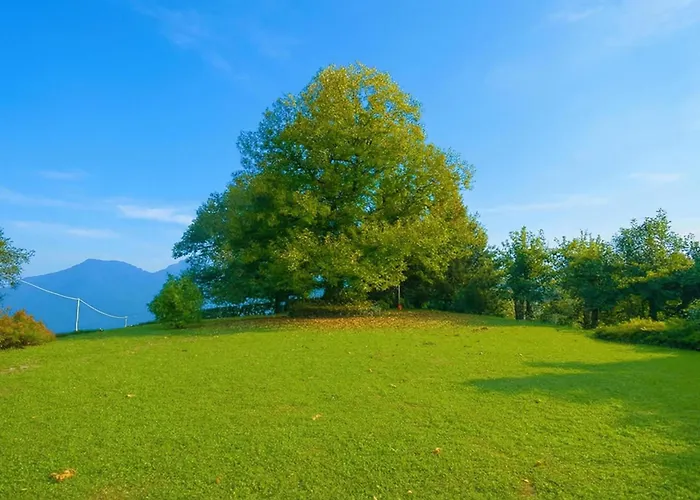 Il Castagno Villa